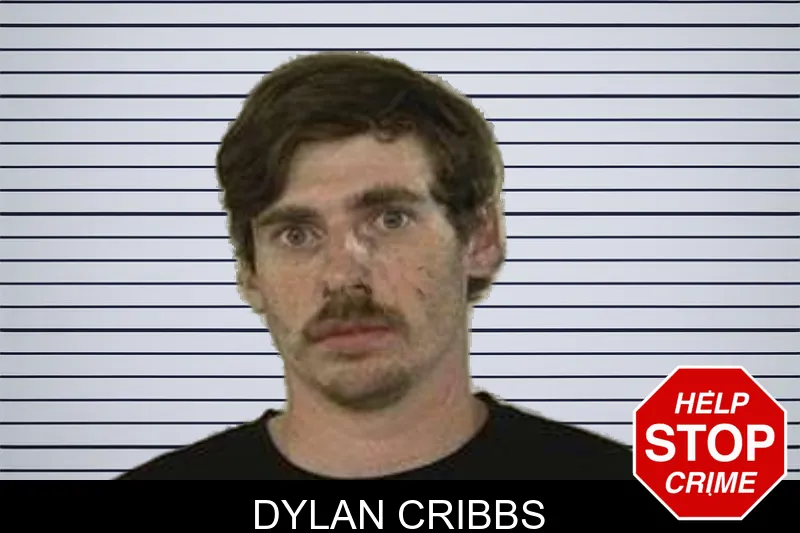 Dylan Cribbs mugshot