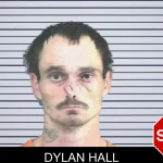 Dylan Hall mugshot