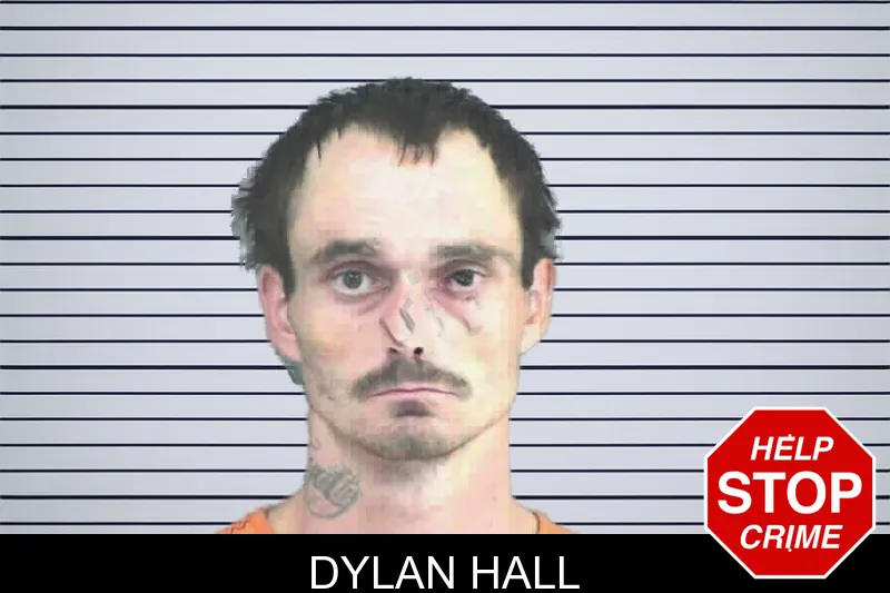 Dylan Hall mugshot