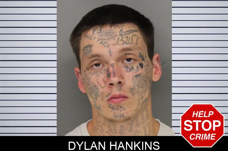 Dylan Hankins mugshot
