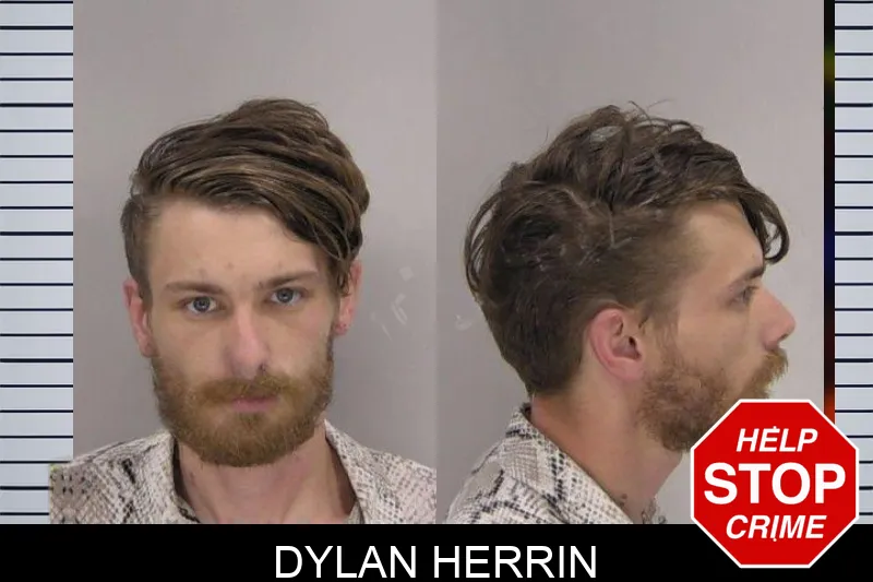 Dylan Herrin mugshot