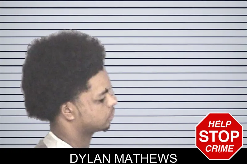 Dylan Mathews mugshot – Barrow County , Georgia Dylan Mathews mugshot