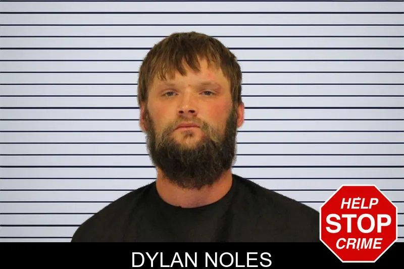 Dylan Noles mugshot