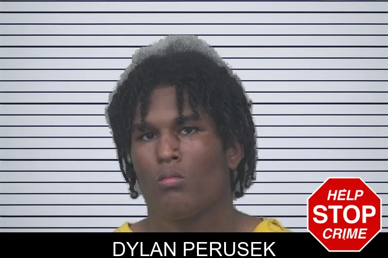Dylan Perusek mugshot