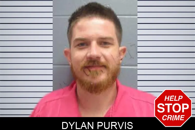 Dylan Purvis mugshot