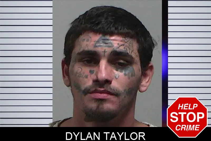 Dylan Taylor mugshot