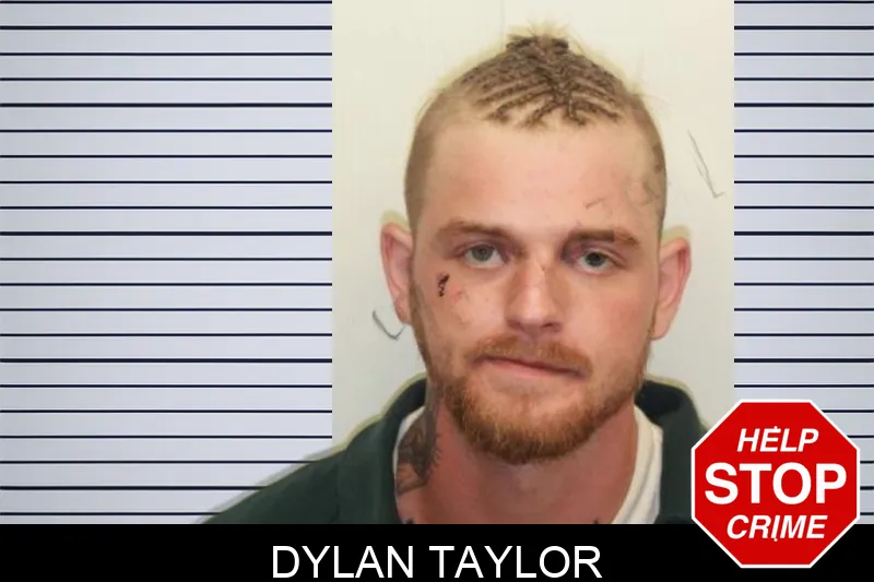Dylan Taylor mugshot
