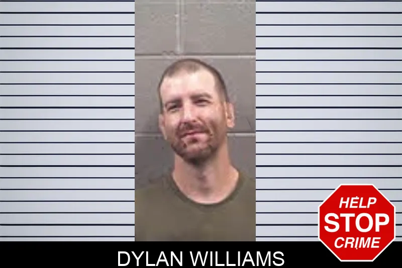 Dylan Williams mugshot – Banks County , Georgia Dylan Williams mugshot