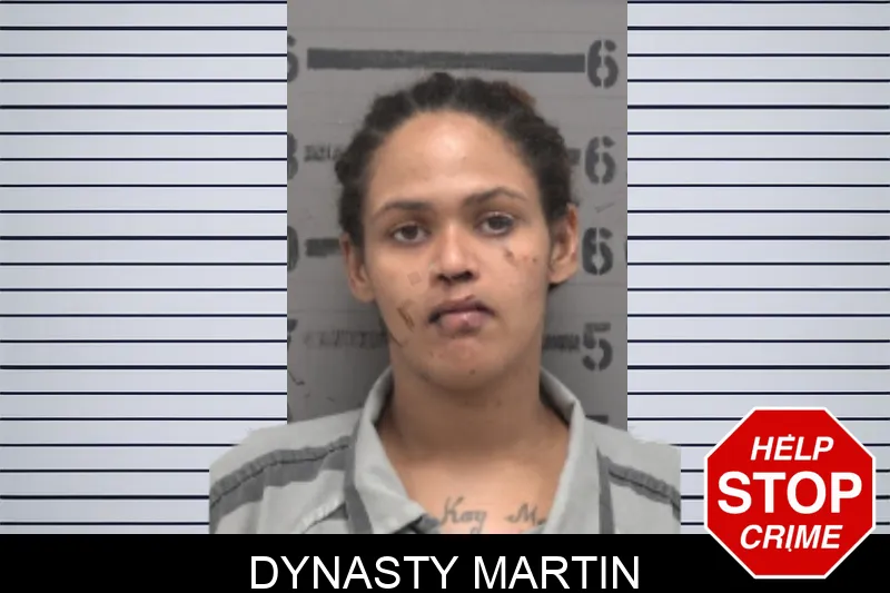 Dynasty Martin mugshot