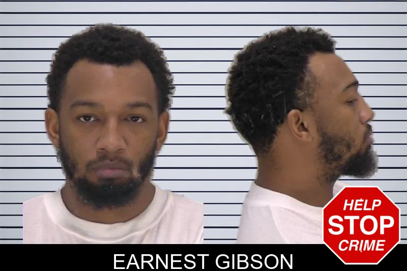 Earnest Gibson mugshot