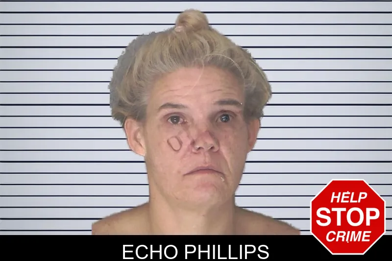 Echo Phillips mugshot – Douglas County , Georgia Echo Phillips mugshot