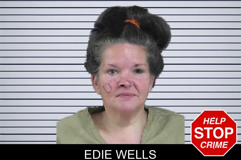 Edie Wells mugshot
