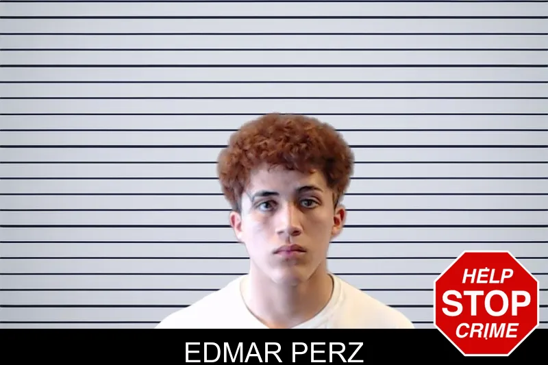 Edmar Perz mugshot