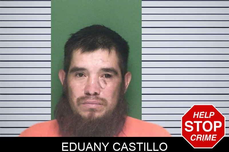 Eduany Castillo mugshot – Appling County , Georgia Eduany Castillo mugshot