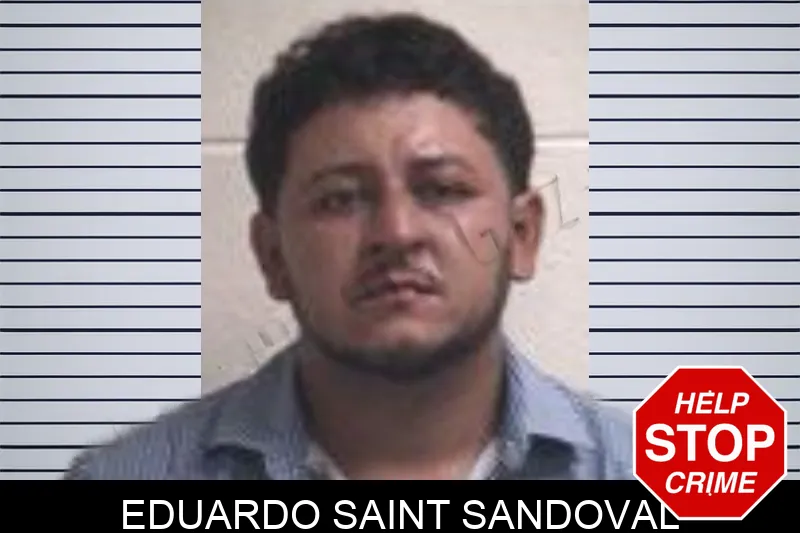 Eduardo Saint Sandoval mugshot – Henry County , Georgia Eduardo Saint Sandoval mugshot