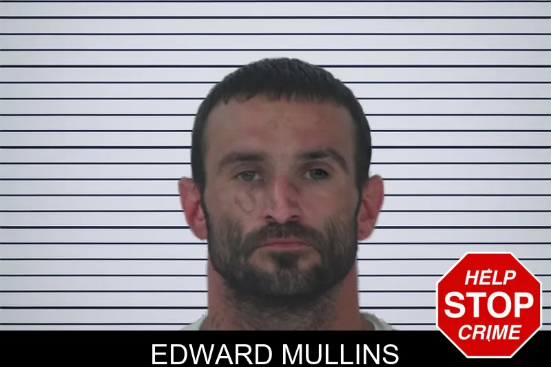 Edward Mullins mugshot