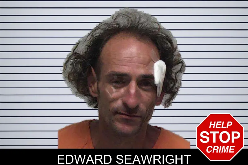 Edward Seawright mugshot