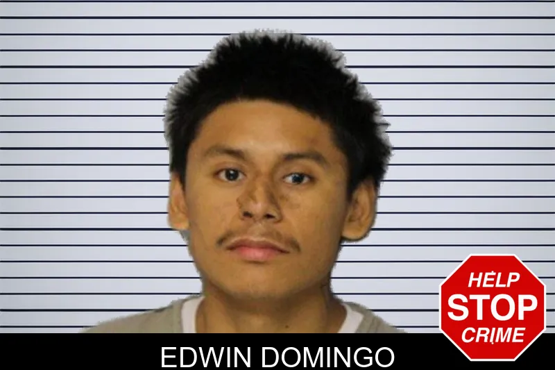 Edwin Domingo mugshot – Hall County , Georgia Edwin Domingo mugshot