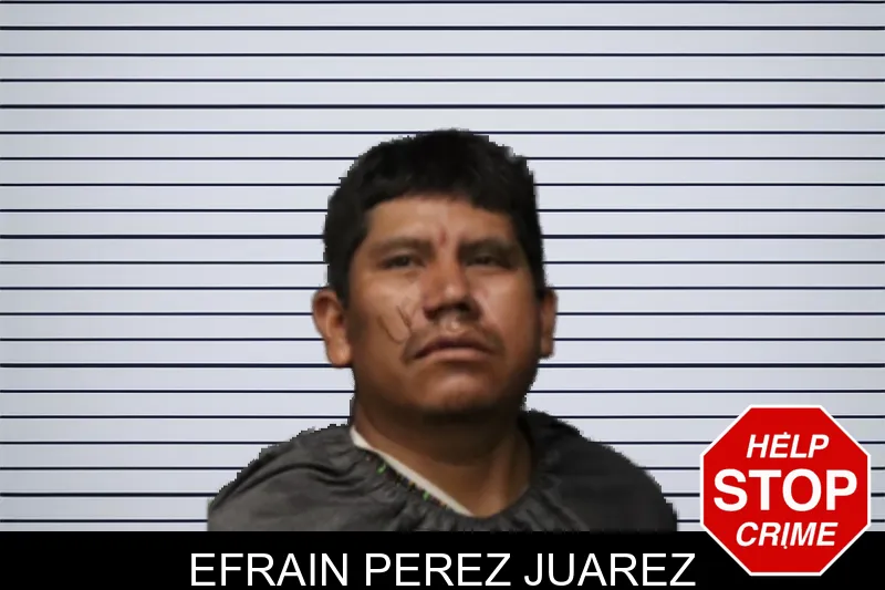 Efrain Perez Juarez mugshot
