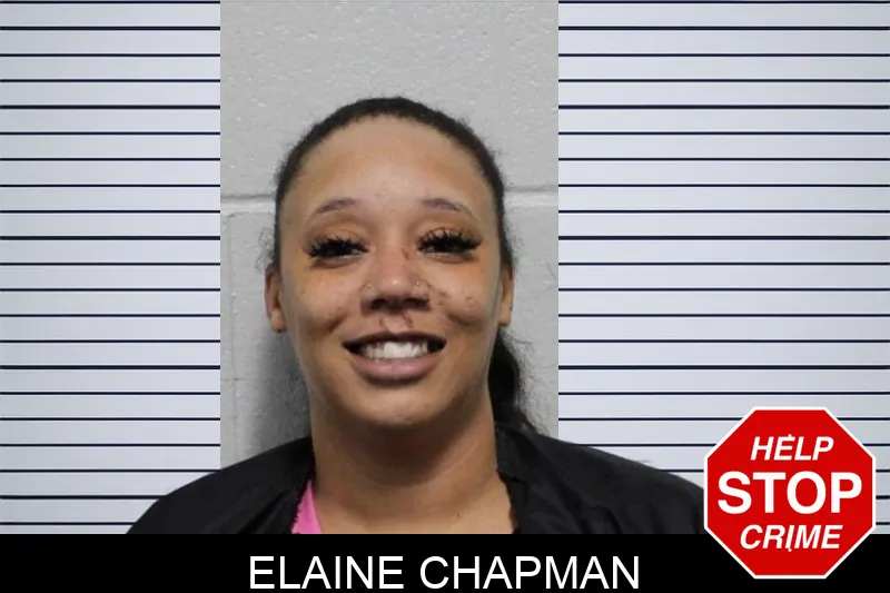 Elaine Chapman mugshot