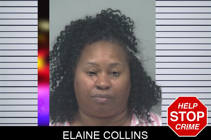 Elaine Collins mugshot