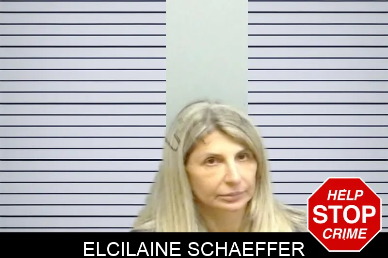 Elcilaine Schaeffer mugshot