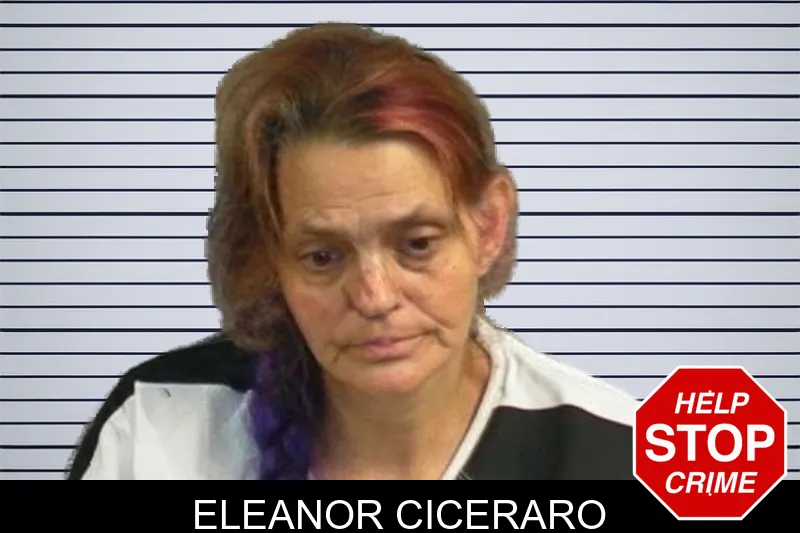 Eleanor Ciceraro mugshot – Upson County , Georgia Eleanor Ciceraro mugshot