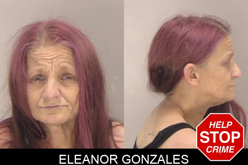 Eleanor Gonzales mugshot – Richmond County , Georgia Eleanor Gonzales mugshot