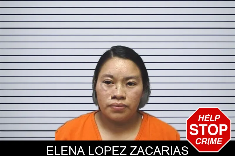 Elena Lopez Zacarias mugshot