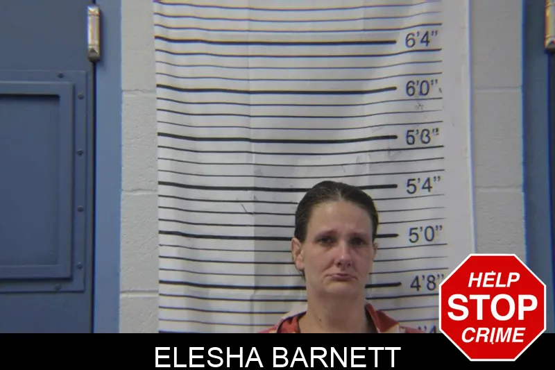 Elesha Barnett mugshot