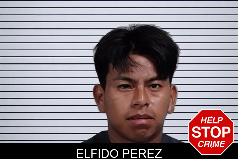 Elfido Perez mugshot