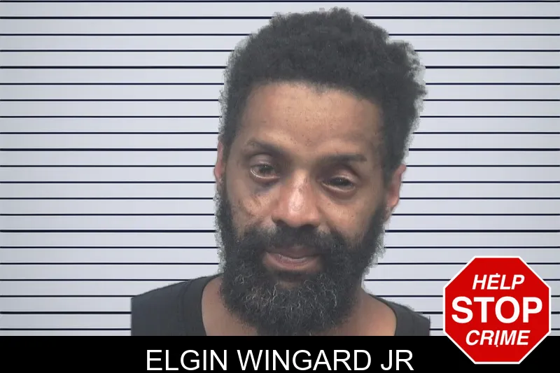 Elgin Wingard Jr mugshot