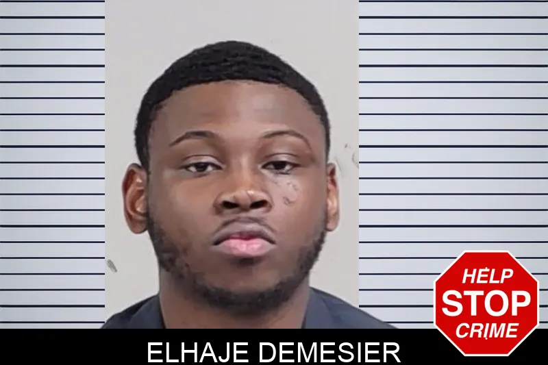 Elhaje Demesier mugshot – Lowndes County , Georgia Elhaje Demesier mugshot