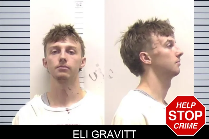 Eli Gravitt mugshot – Clarke County , Georgia Eli Gravitt mugshot