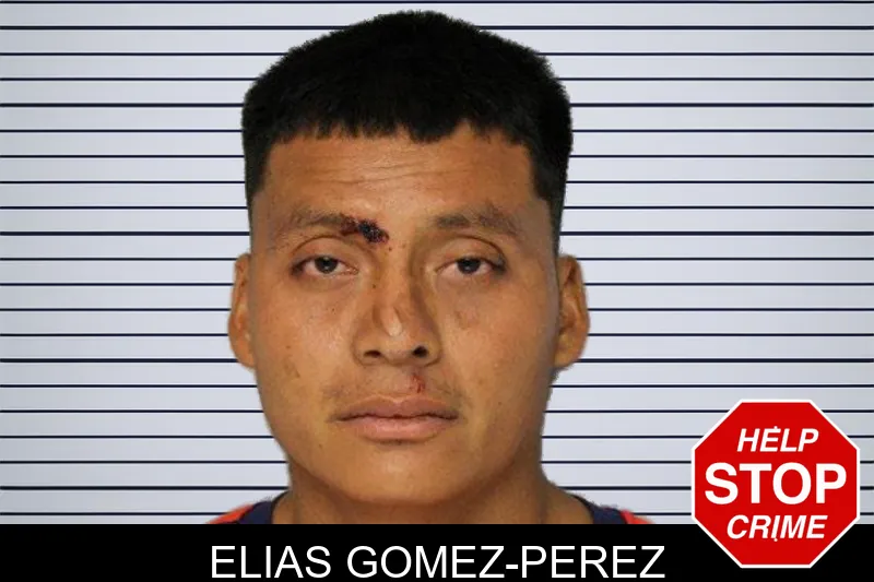 Elias Gomez-Perez mugshot