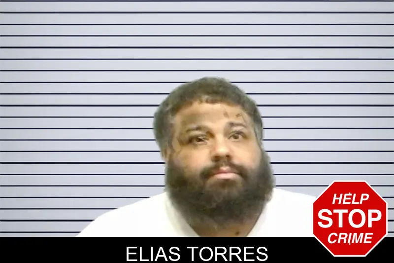 Elias Torres mugshot