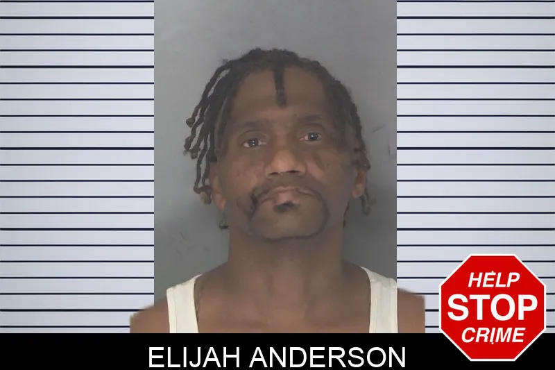 Elijah Anderson mugshot