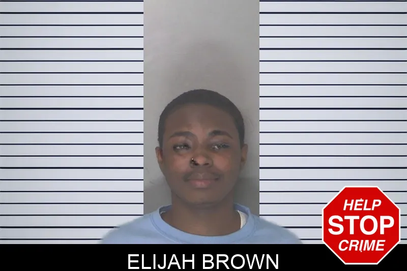 Elijah Brown mugshot – Douglas County , Georgia Elijah Brown mugshot
