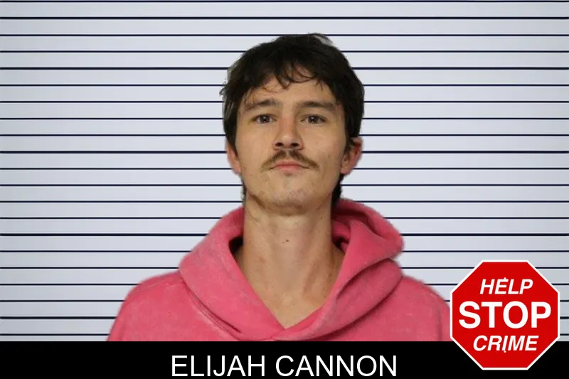 Elijah Cannon mugshot – Hall County , Georgia Elijah Cannon mugshot