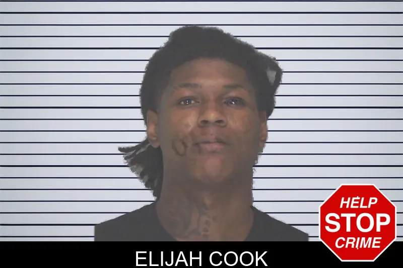 Elijah Cook mugshot