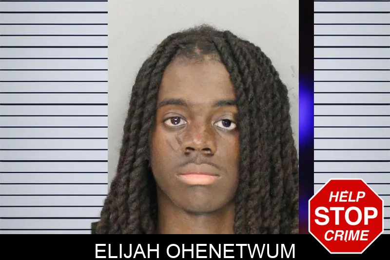 Elijah Ohenetwum mugshot