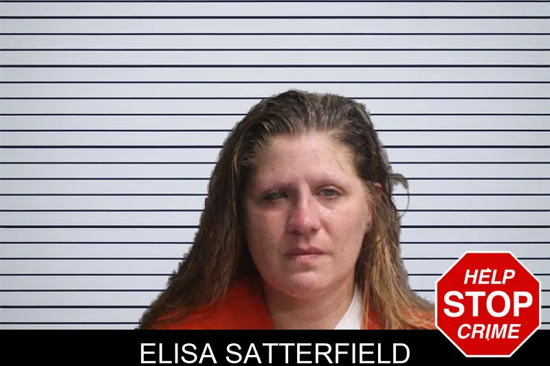 Elisa Satterfield mugshot