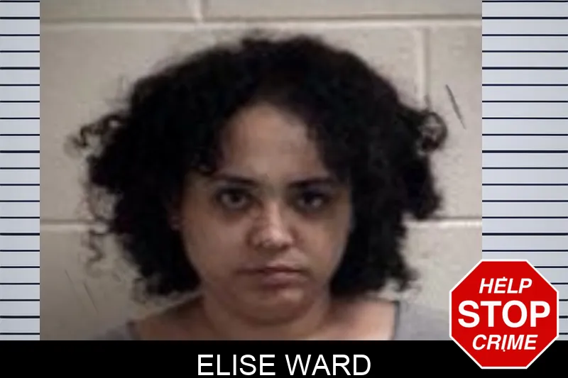 Elise Ward mugshot