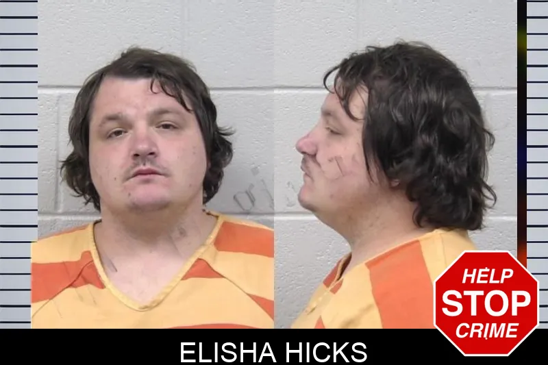 Elisha Hicks mugshot