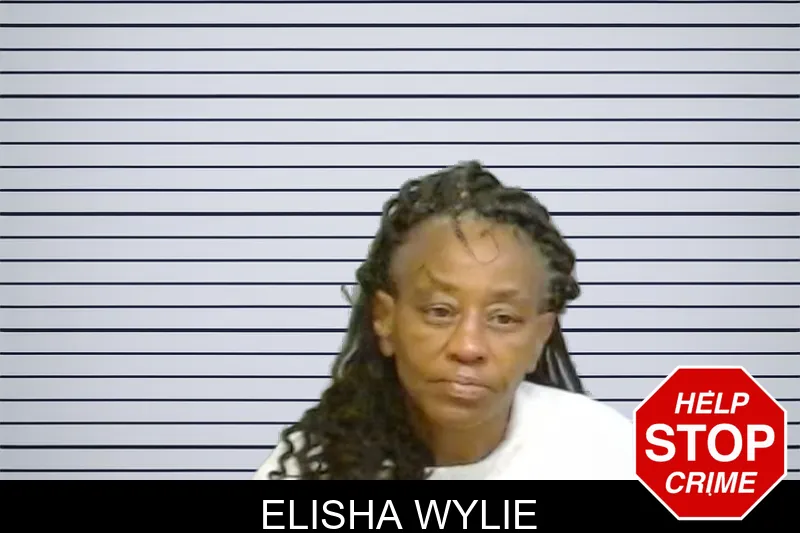 Elisha Wylie mugshot