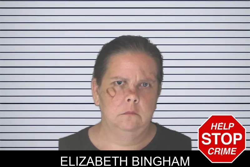 Elizabeth Bingham mugshot