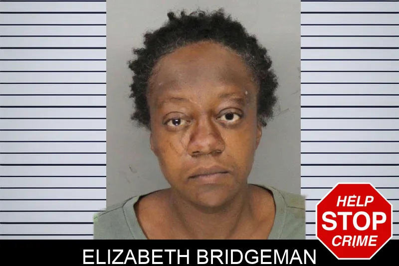 Elizabeth Bridgeman mugshot