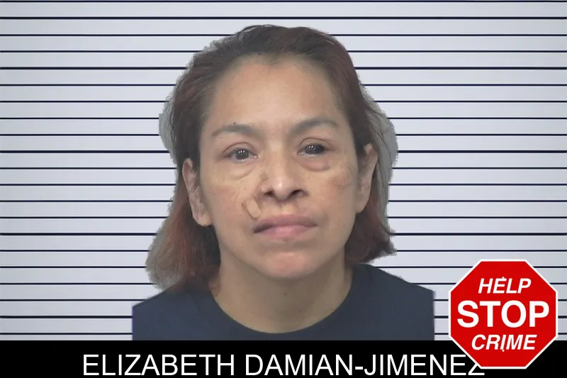 Elizabeth Damian-Jimenez mugshot