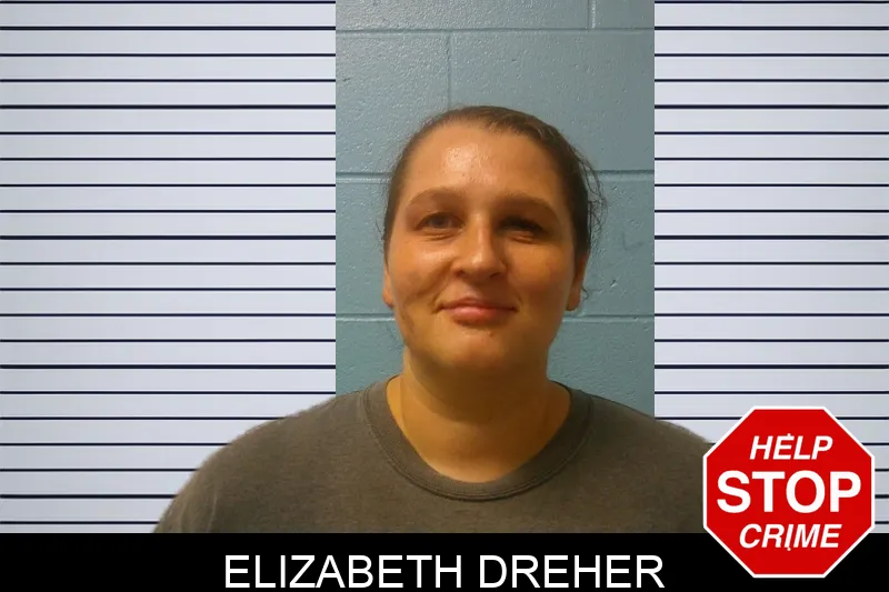 Elizabeth Dreher mugshot – Franklin County , Georgia Elizabeth Dreher mugshot