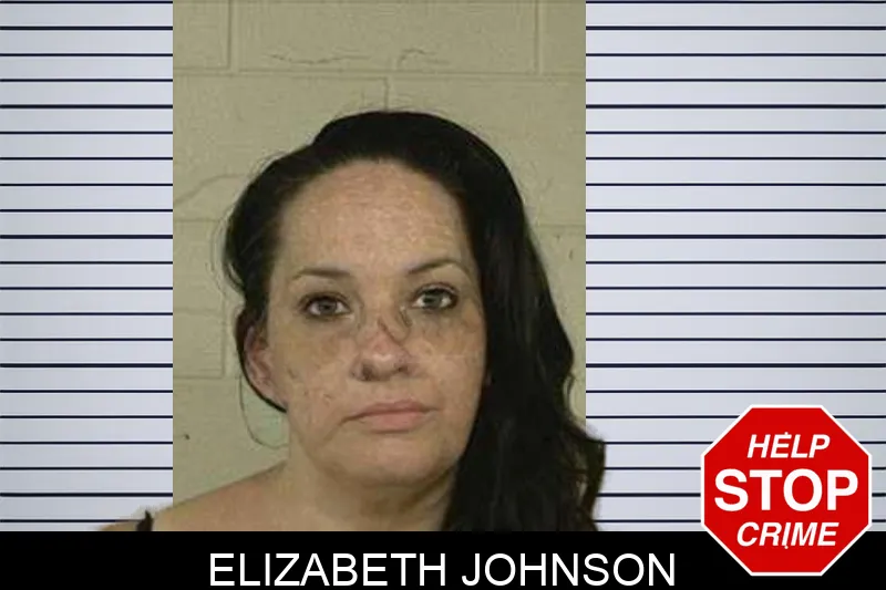 Elizabeth Johnson mugshot